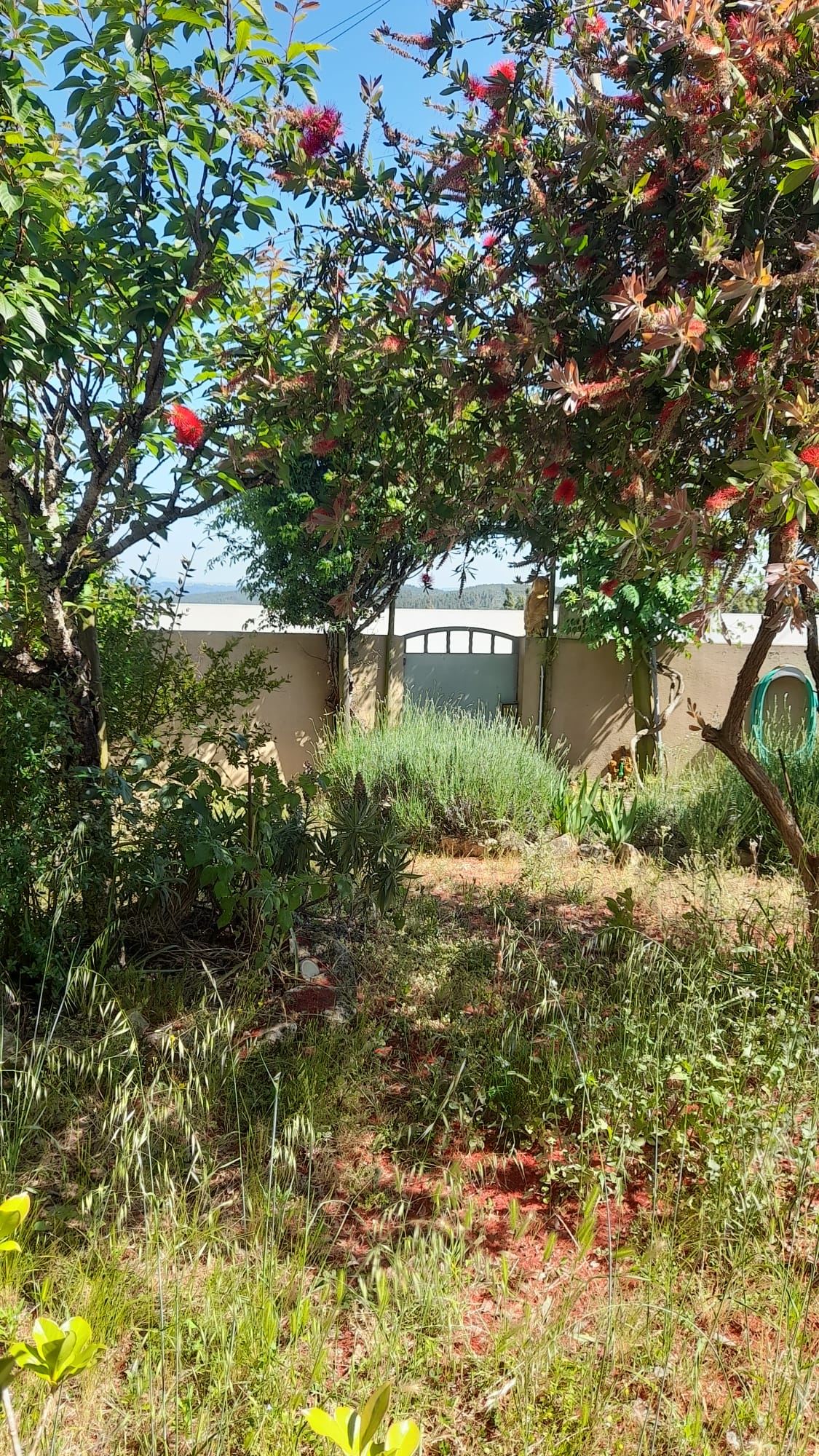 Fachada da moradia